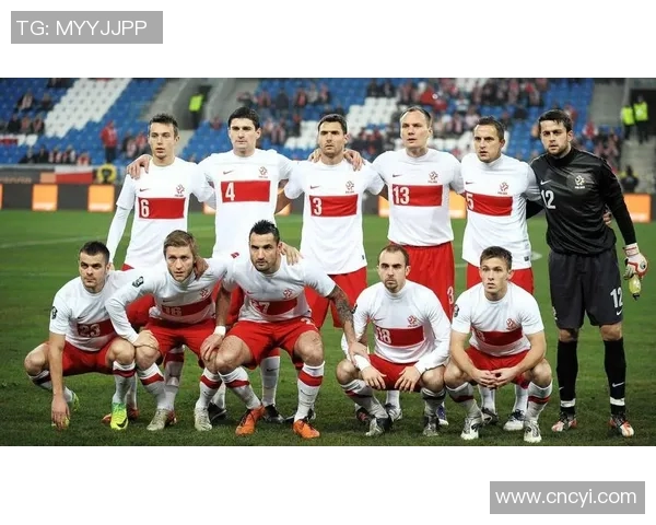 亚美尼亚与波兰足球对决深度分析及比赛前瞻