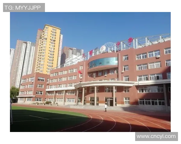 史鸿飞的传奇人生与奋斗历程：从平凡到卓越的成长之路